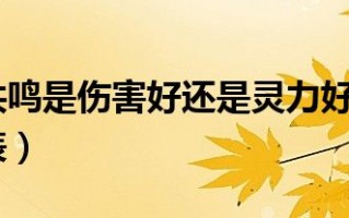  问道装备共鸣属性能不能叠加,问道共鸣要力量好还是物伤好？